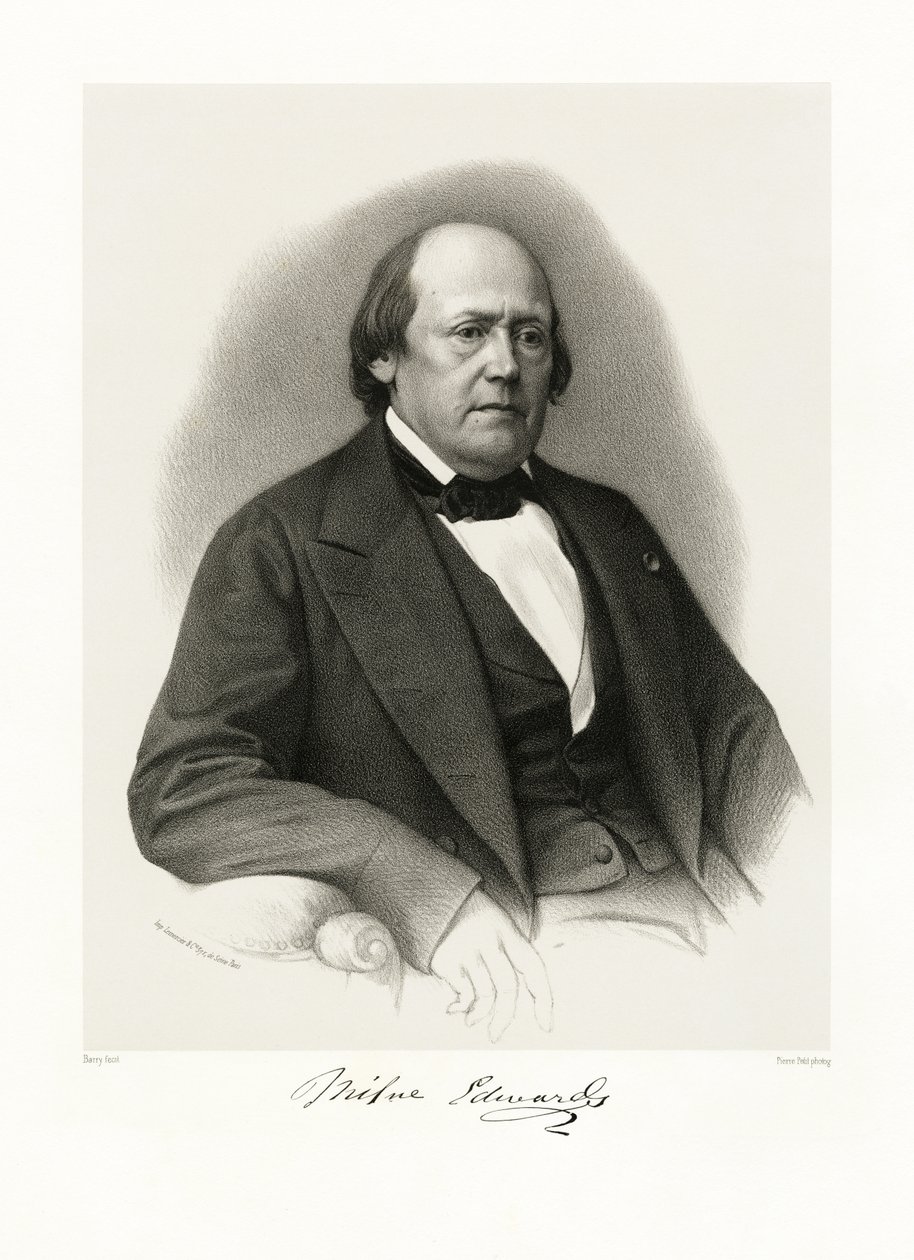 Henri Milne Edwards, 1865-66 av Barry