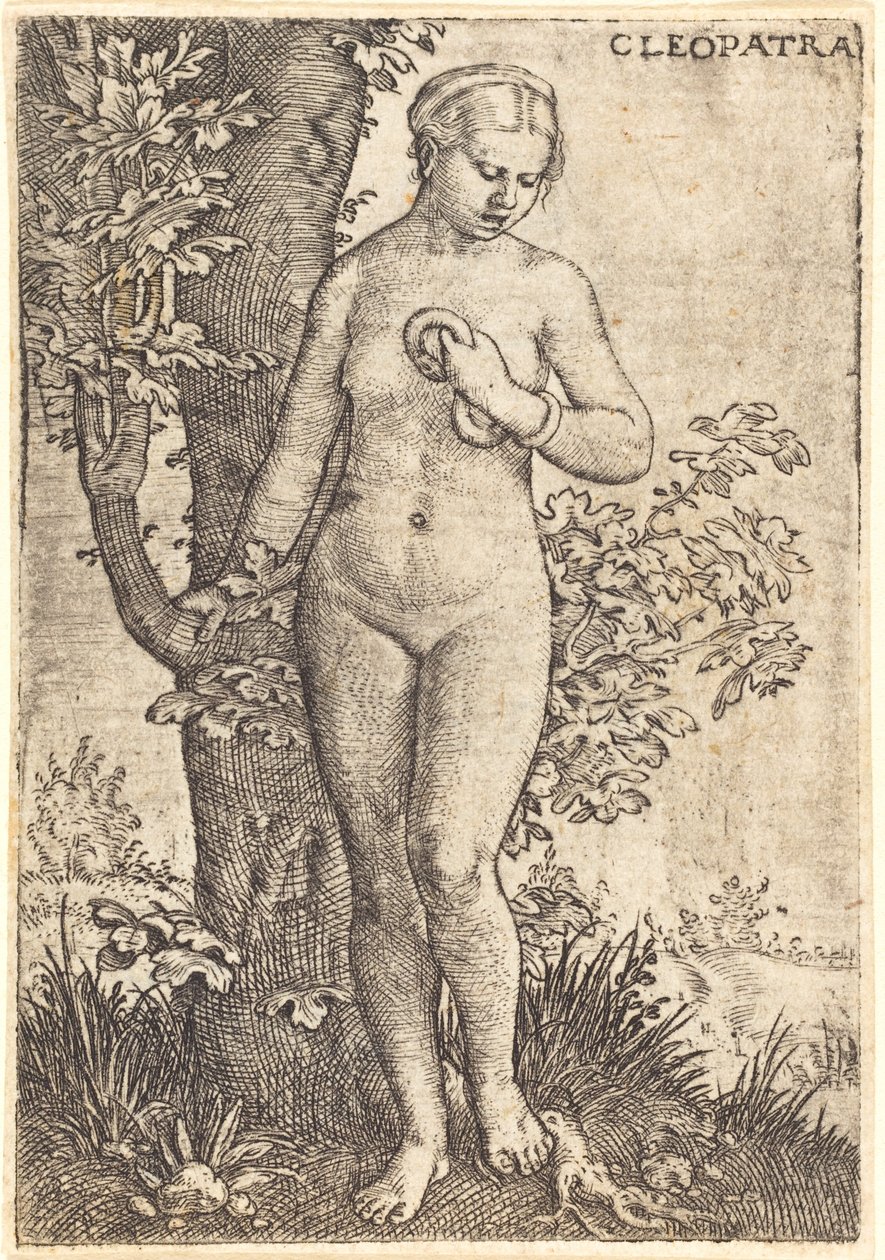 Kleopatra av Barthel Beham