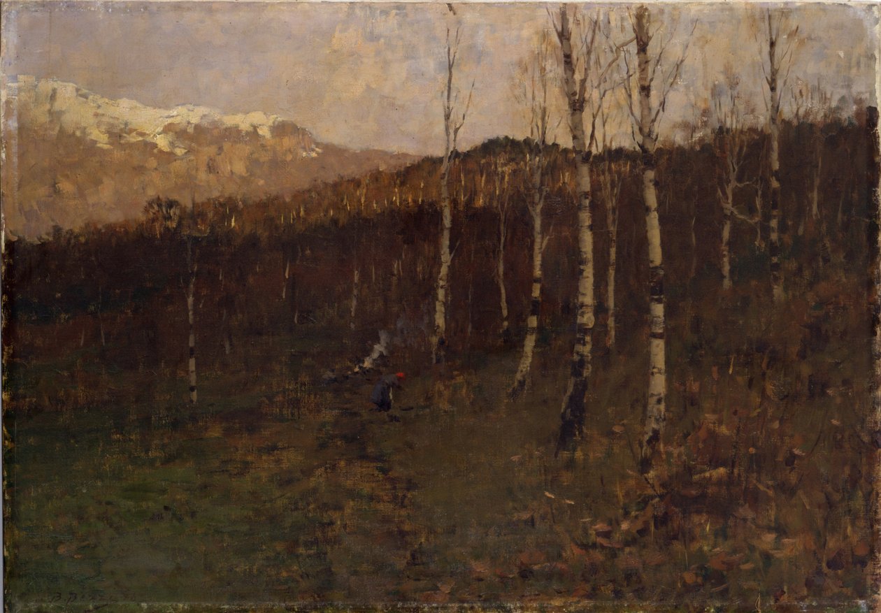 Coppice Birch skog av Bartolomeo Bezzi
