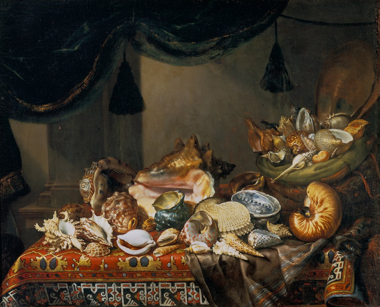 Stilleben med skjell av Bartolomeo Bimbi