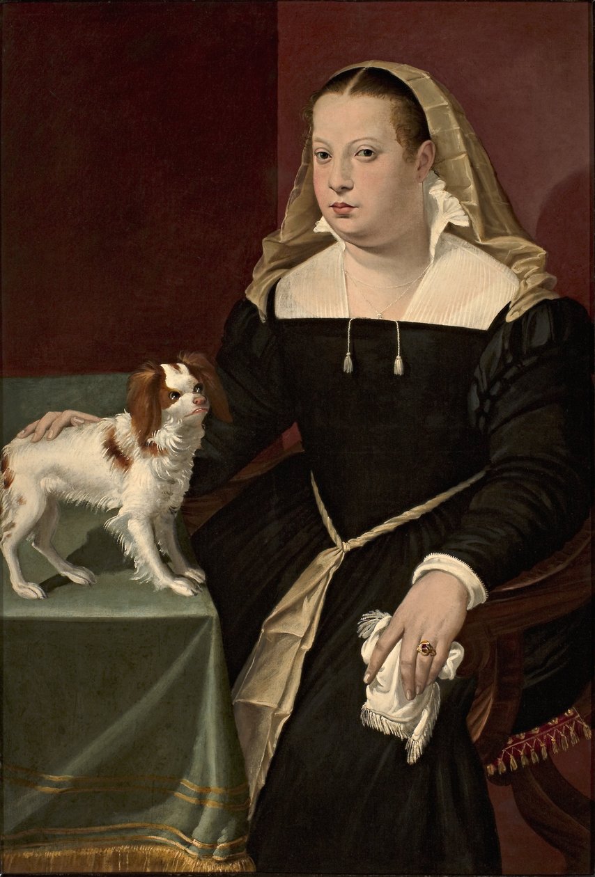 Portrett av en dame med en liten hund av Bartolomeo Passarotti