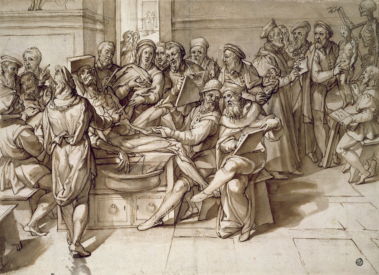 Anatomi leksjonen (penn og blekk) av Bartolomeo Passarotti