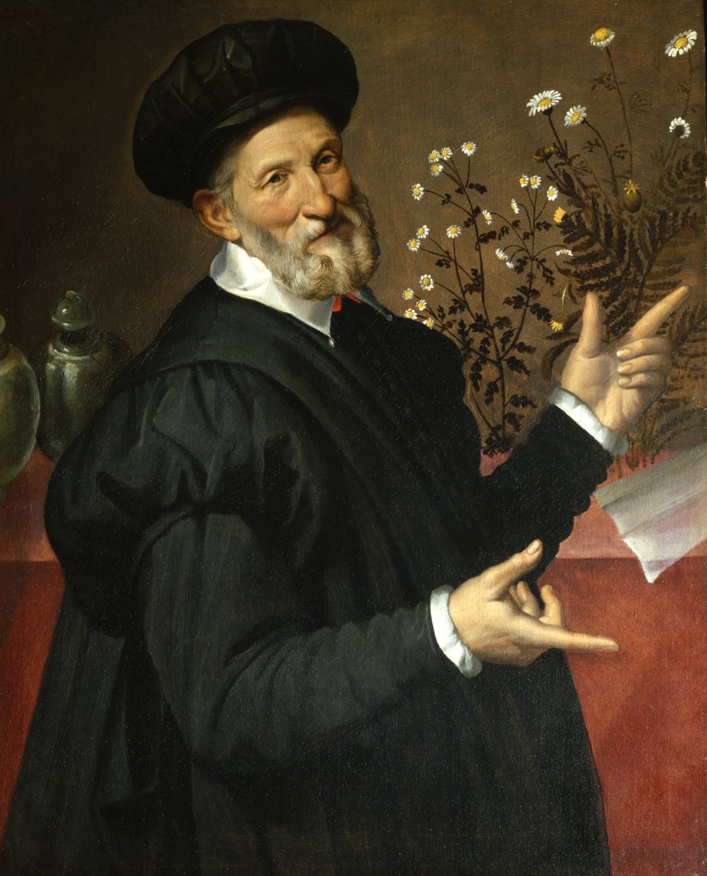 Botanikeren, 1570 av Bartolomeo Passarotti