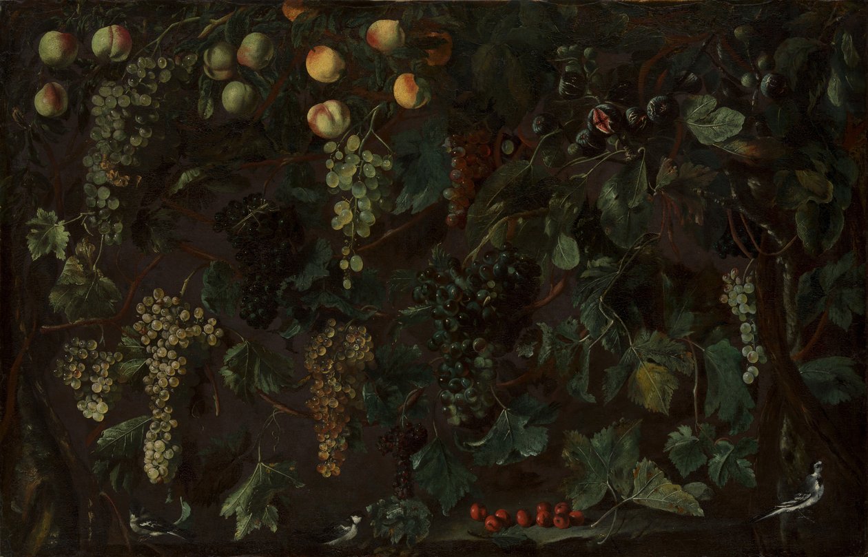 Drueranker og frukt, med tre vipstjerter, ca. 1615-18. av Bartolomeo Cavarozzi