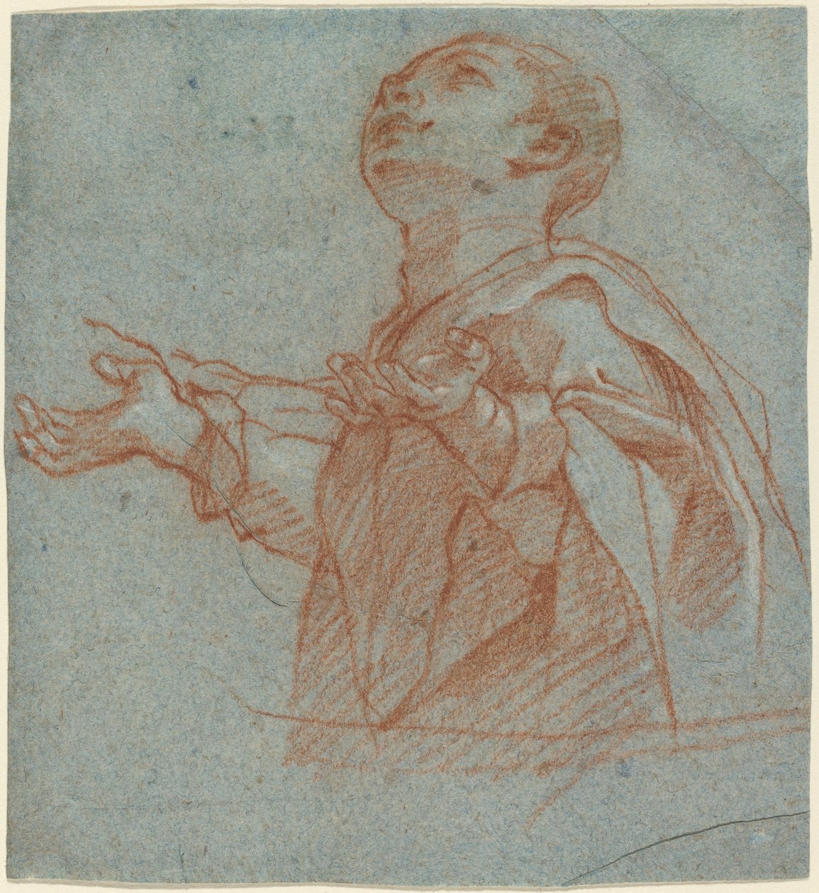 En gutt som stirrer oppover i tilbedelse av Bartolomeo Cesi
