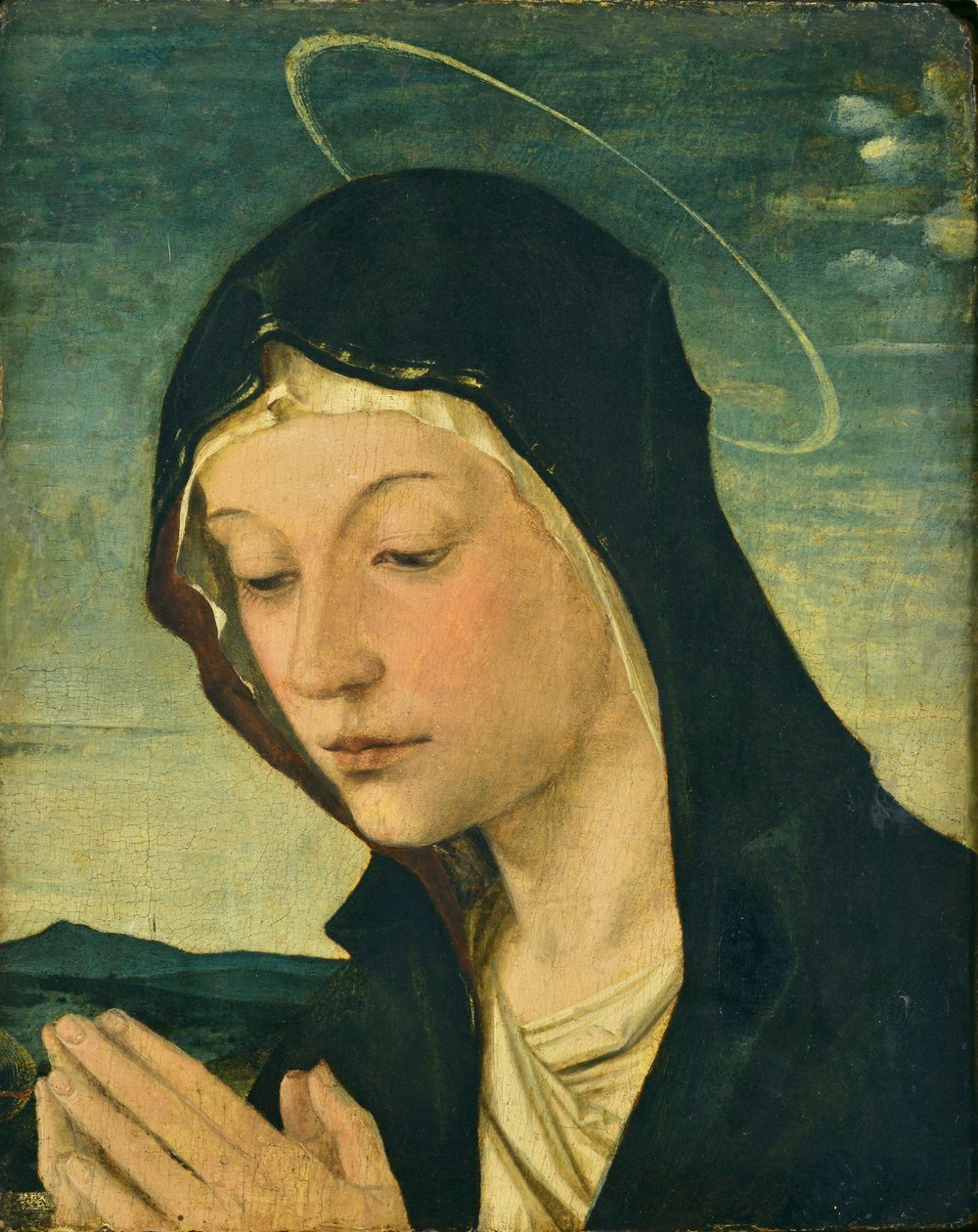  av Bartolomeo Montagna
