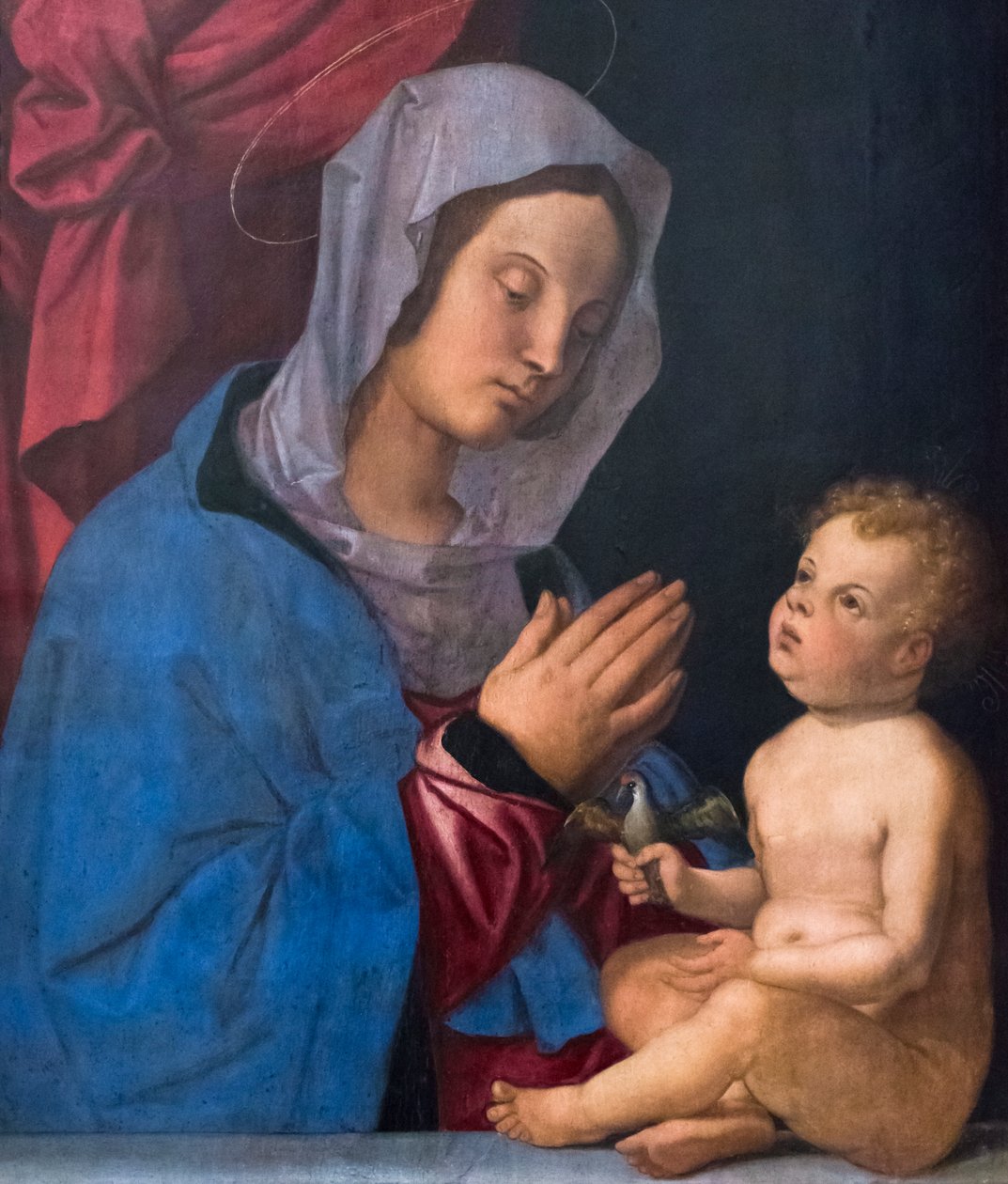 Madonna og barn, ca. 1503 (olje på trepanel) av Bartolomeo Montagna