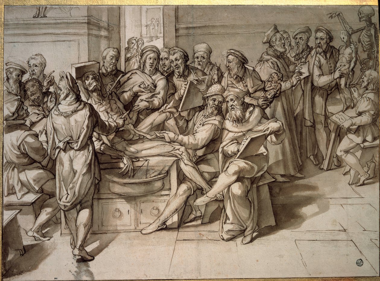Anatomiforelesning holdt av Michelangelo Buonarroti dit Michelangelo (Michelangelo eller Michel Ange av Bartolomeo Passarotti