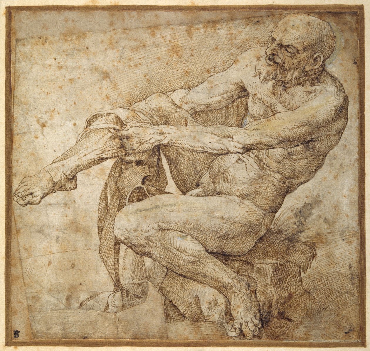 Naken mann som drar på slangen, etter Marcantonio Raimondi og Michelangelo Buonarroti (penn og brunt blekk på papir) av Bartolomeo Passarotti