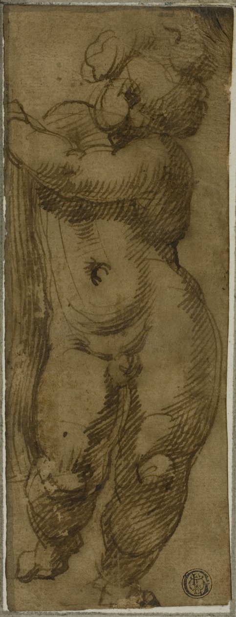 Stående Putto sett fra forsiden: Study for the Virgin in Glory med de hellige Petronius, Dominic og Peter Martyr av Bartolomeo Passarotti