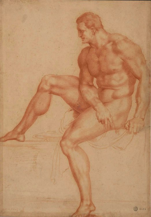 Studere for Hercules av Bartolommeo Bandinelli