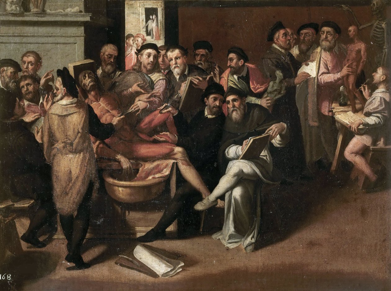 The Anatomy Lesson av Passerotti, Bartolomeo (1529-1592). Olje på lerret. Galleria Borghese, Roma av Bartolommeo Passerotti