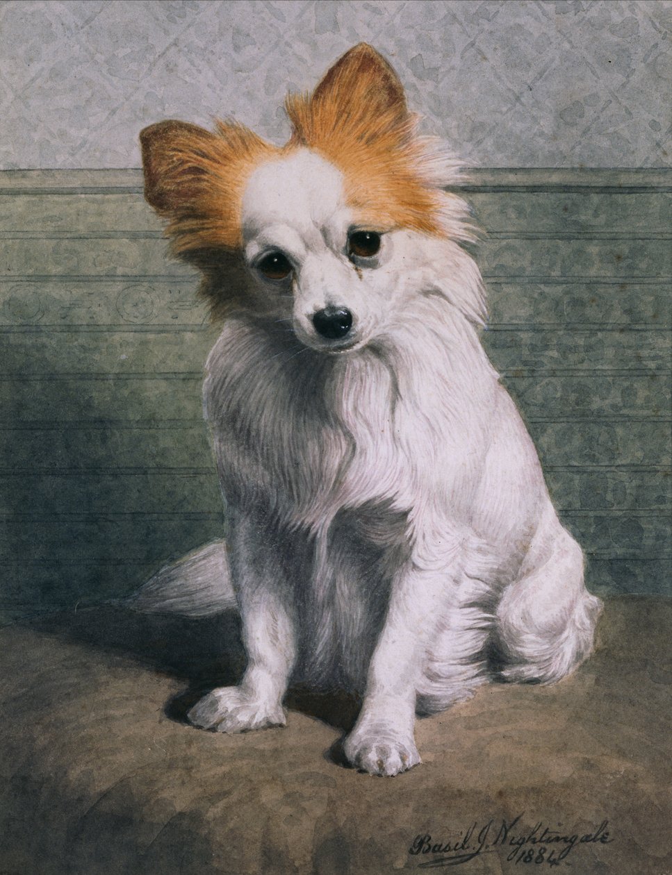 Lekehund av Basil J. Nightingale