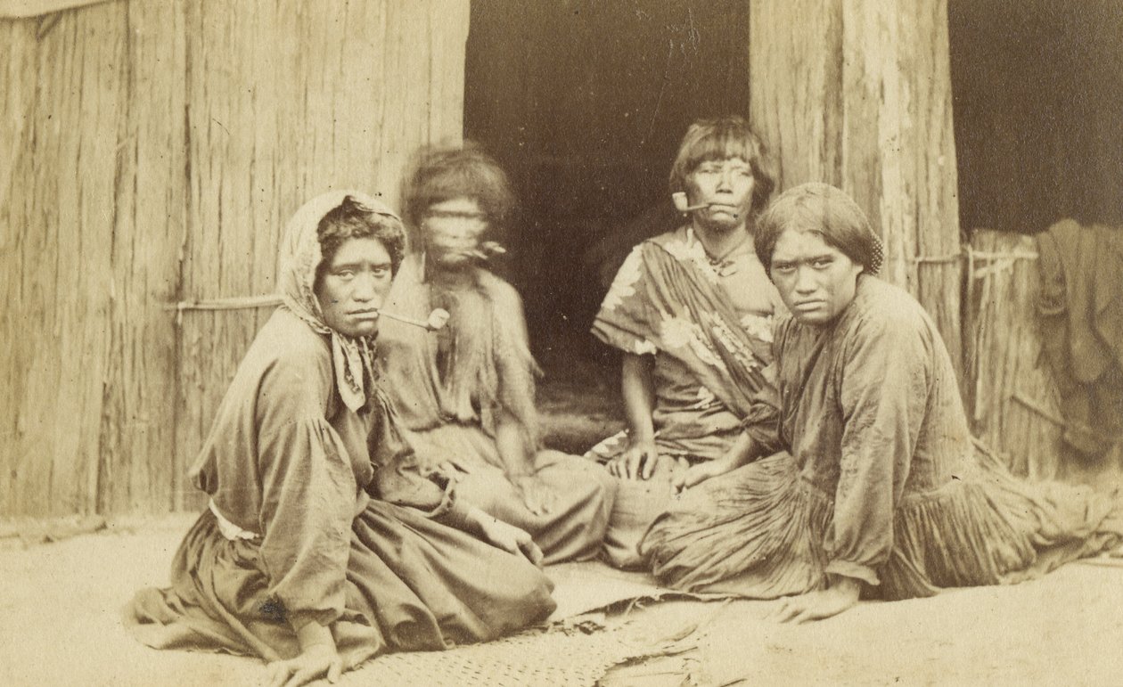 Group of Maori Women Outside a Whare, ca. 1865 (albumintrykk) av Batt and Richards