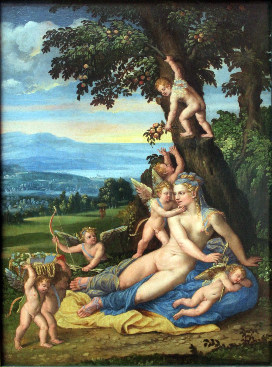 Venus og Amor av Battista Dossi