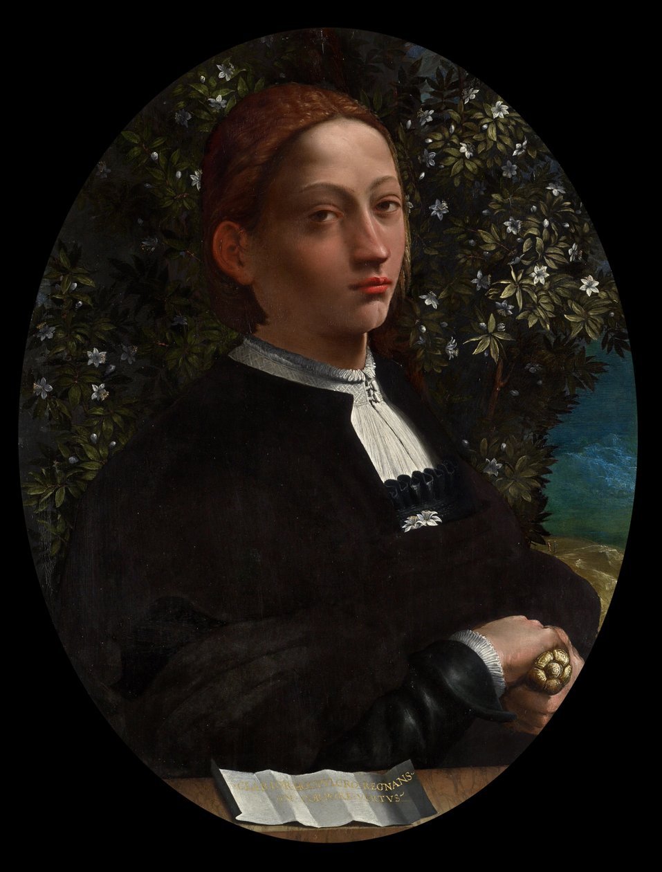 Lucrezia Borgia, hertuginne av Ferrara av Battista Dosso