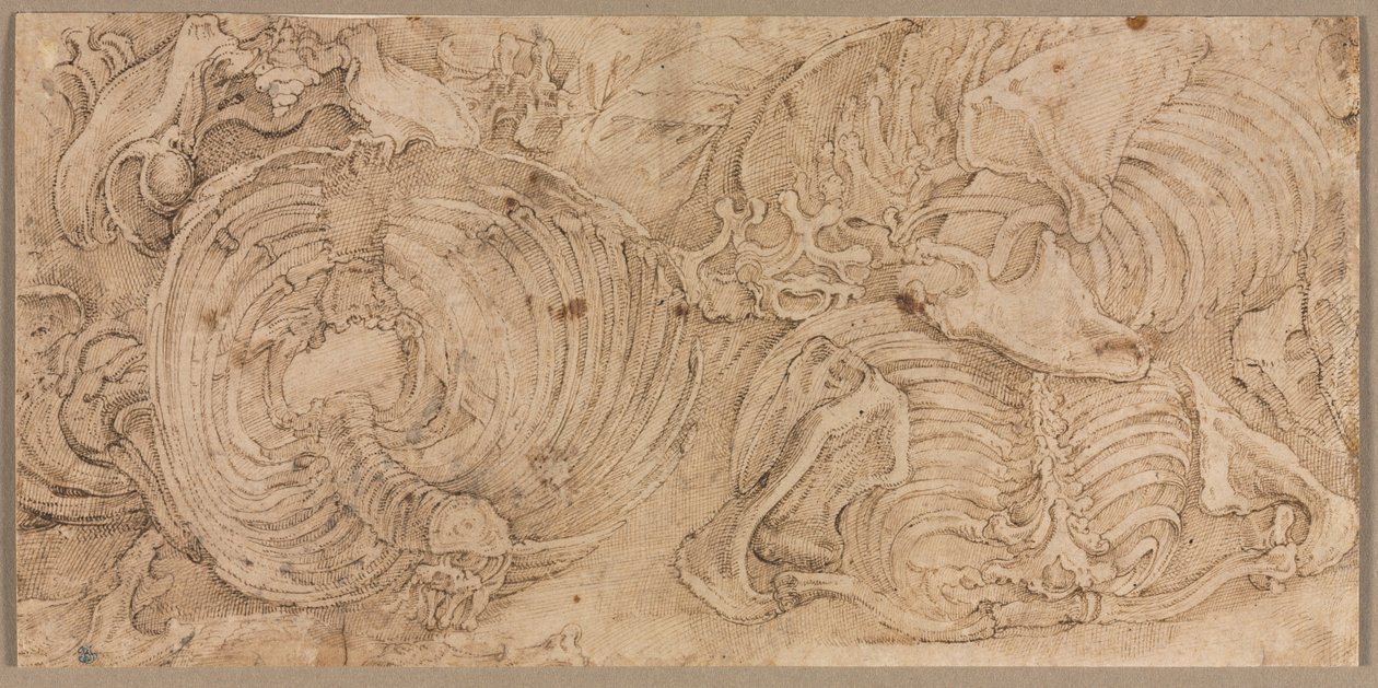 Ribbenbur, tidlig på 1540-tallet. av Battista Franco