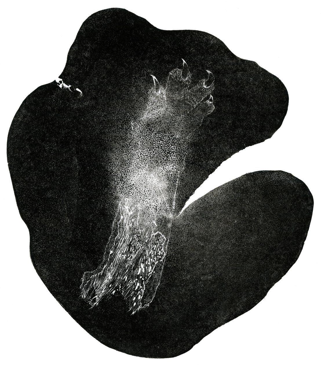 Clawfoot, 2014 (tregravering på papir) av Bella Larsson
