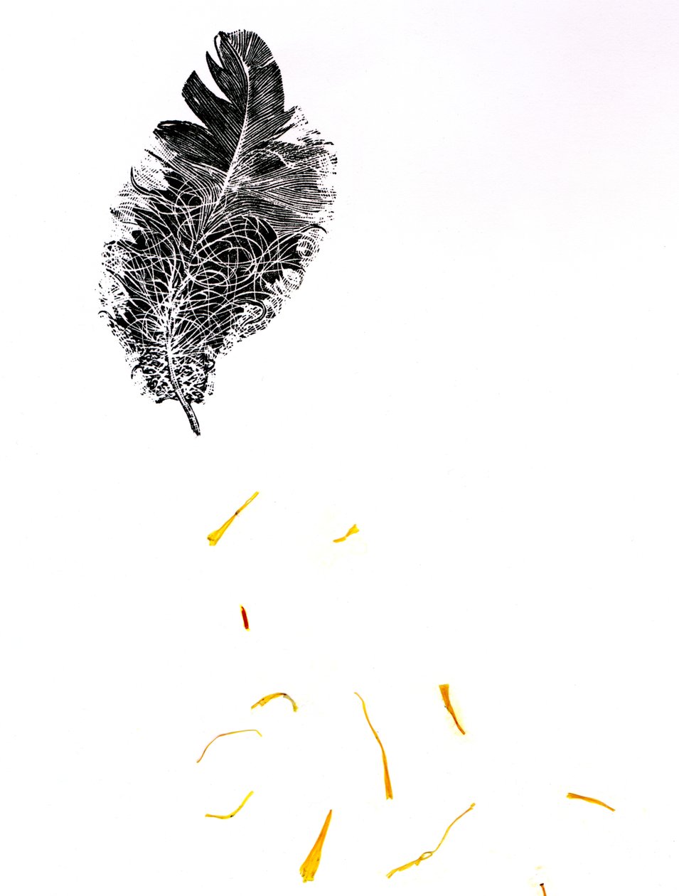Feather {Fay-erie Dust}, 2014 (tregravering og plantefragmenter på papir) av Bella Larsson