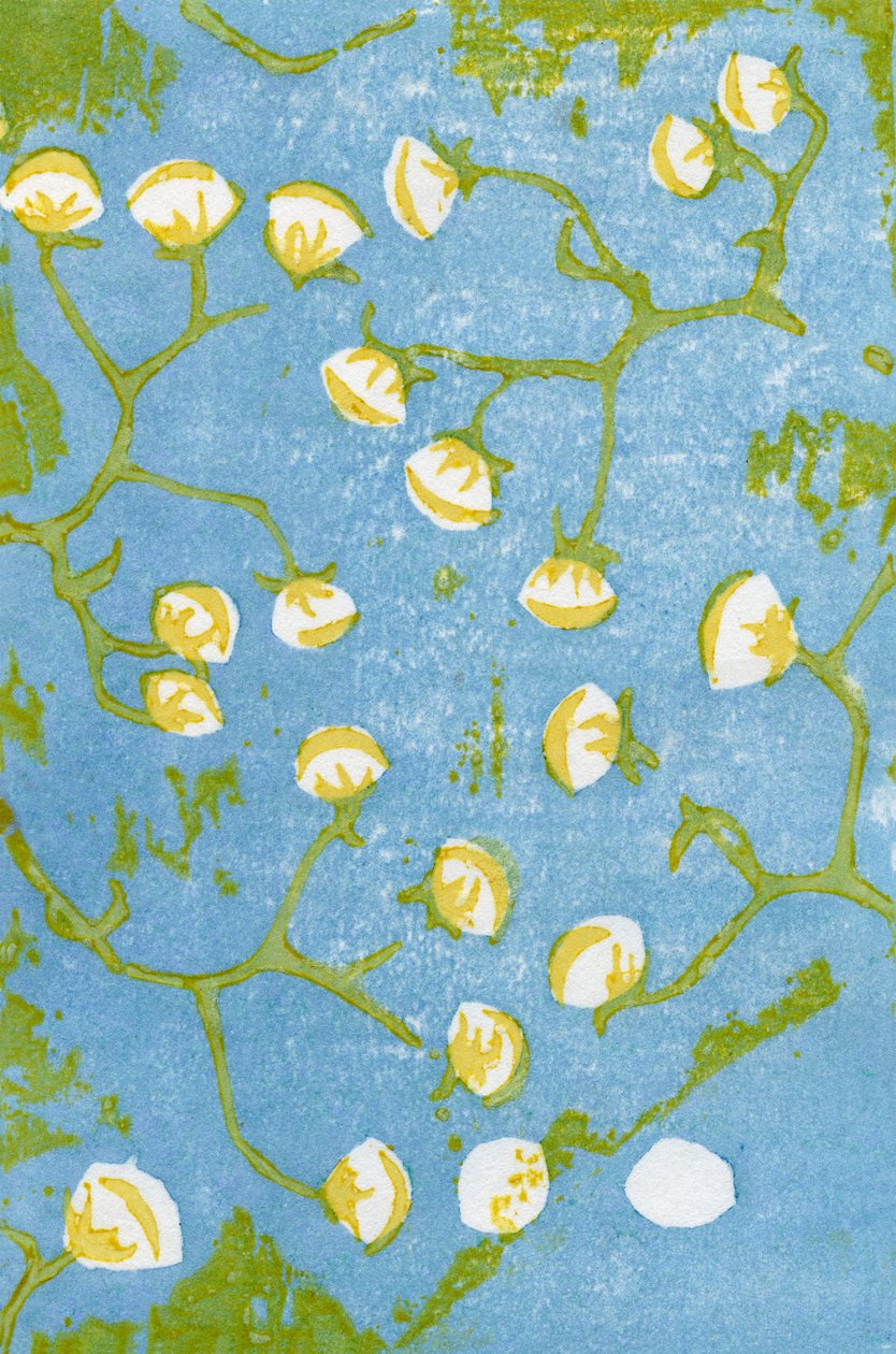 Fluffy Seedheads, 2012 (treblokk på washi) av Bella Larsson