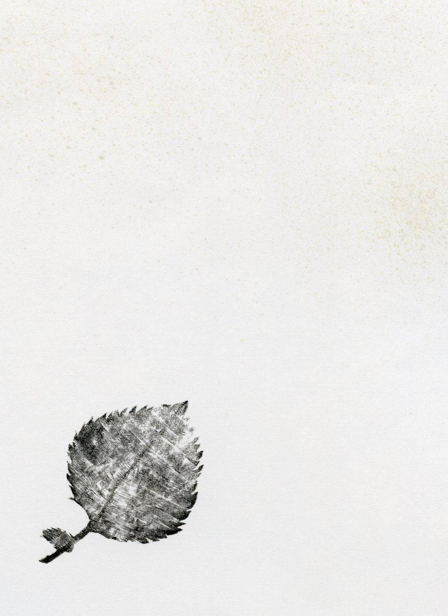 Leaf {Fay-erie Dust}, 2014 (tregravering og blekk på papir) av Bella Larsson