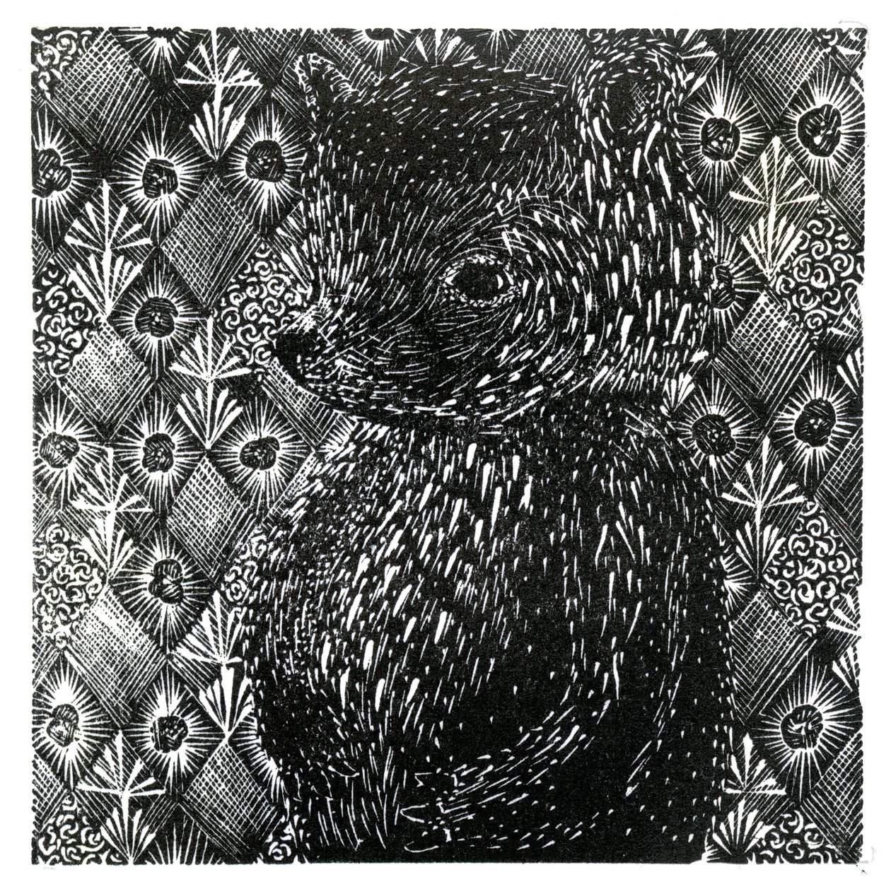 Ursus arctos ssp. domesticus, 2013 (tregravering på papir) av Bella Larsson