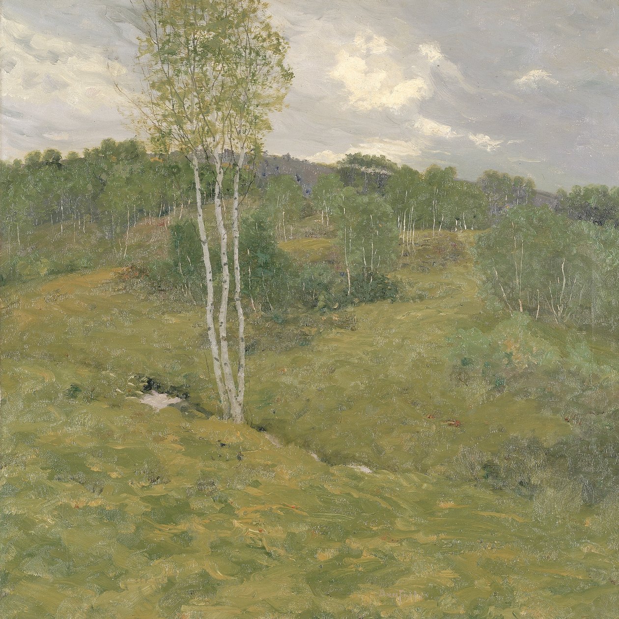 Bjørkekledde åser, ca. 1908. av Ben Foster