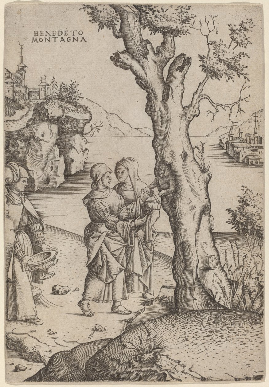 Fødsel av Adonis av Benedetto Montagna