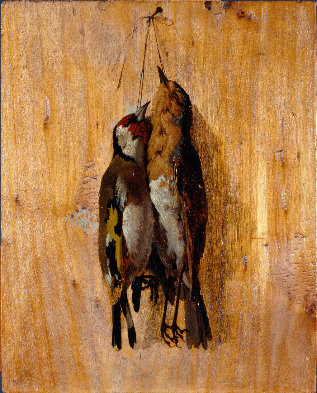 Studie av etter naturen To døde fuglenåler på veggen. Maleri av Benedetto Musso (1835-1883) 1864 rundt søndag. 20,5x16,5 cm gener, Galleria d