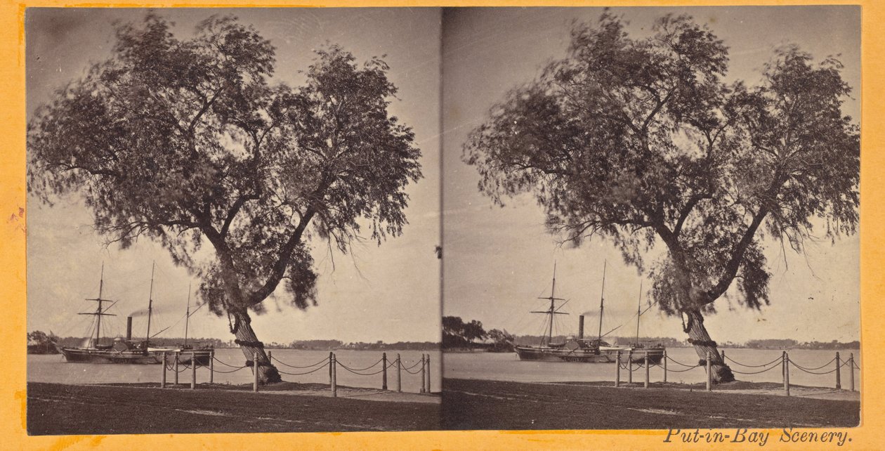 Willow Tree. Plantet av Com. Perry og andre overlevende fra slaget ved Lake Erie, for å markere begravelsen ... av Benedict Benedict