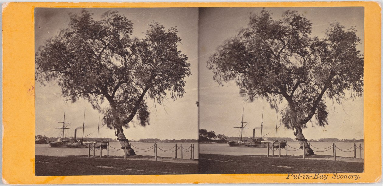 Willow Tree. Plantet av Com. Perry og andre overlevende fra slaget ved Lake Erie, for å markere gravstedet til de drepte. av Benedict
