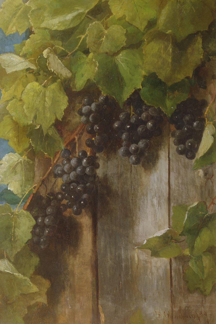 En fruktbærende vinranke, 1889 av Benjamin Champney