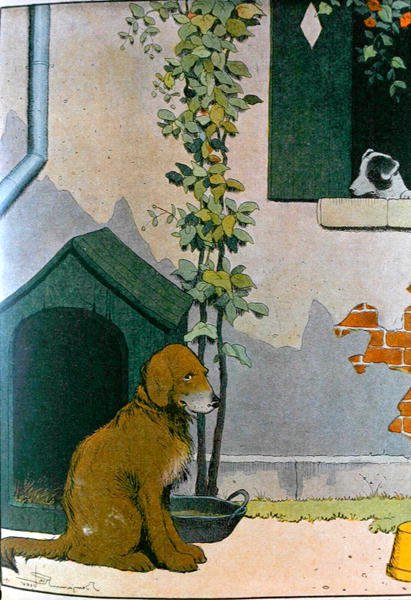 Hund, illustrasjon fra 