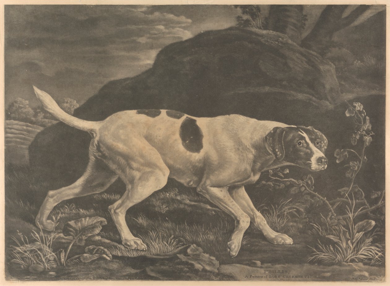 [Skyting] 'Phillis', en peker fra Lord Clermonts av Benjamin Green