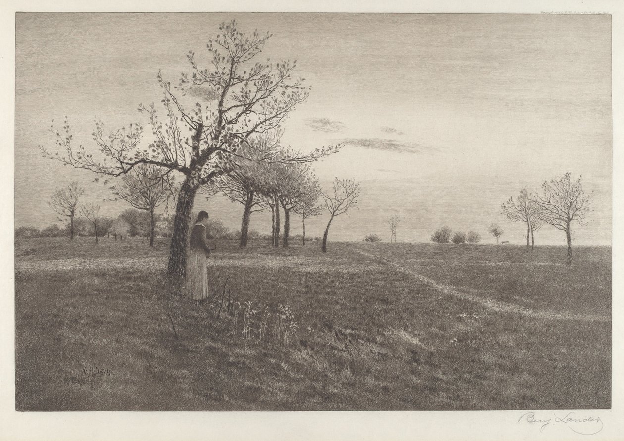 Etterglød av Benjamin Lander
