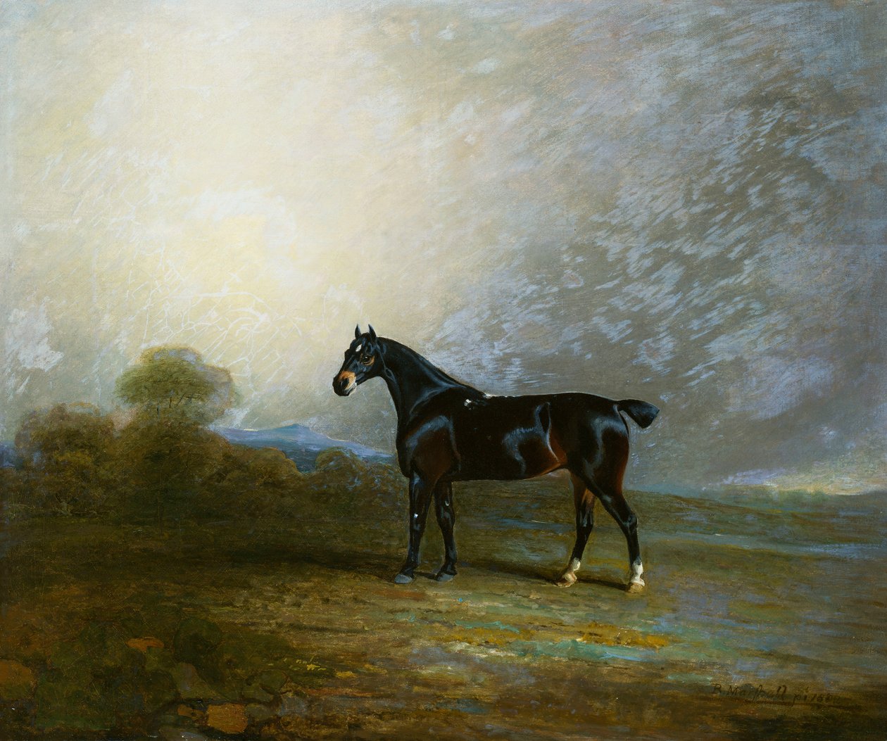 Bembo, en favorittjeger av Charles Shuttleworth, Esq., 1802 av Benjamin Marshall