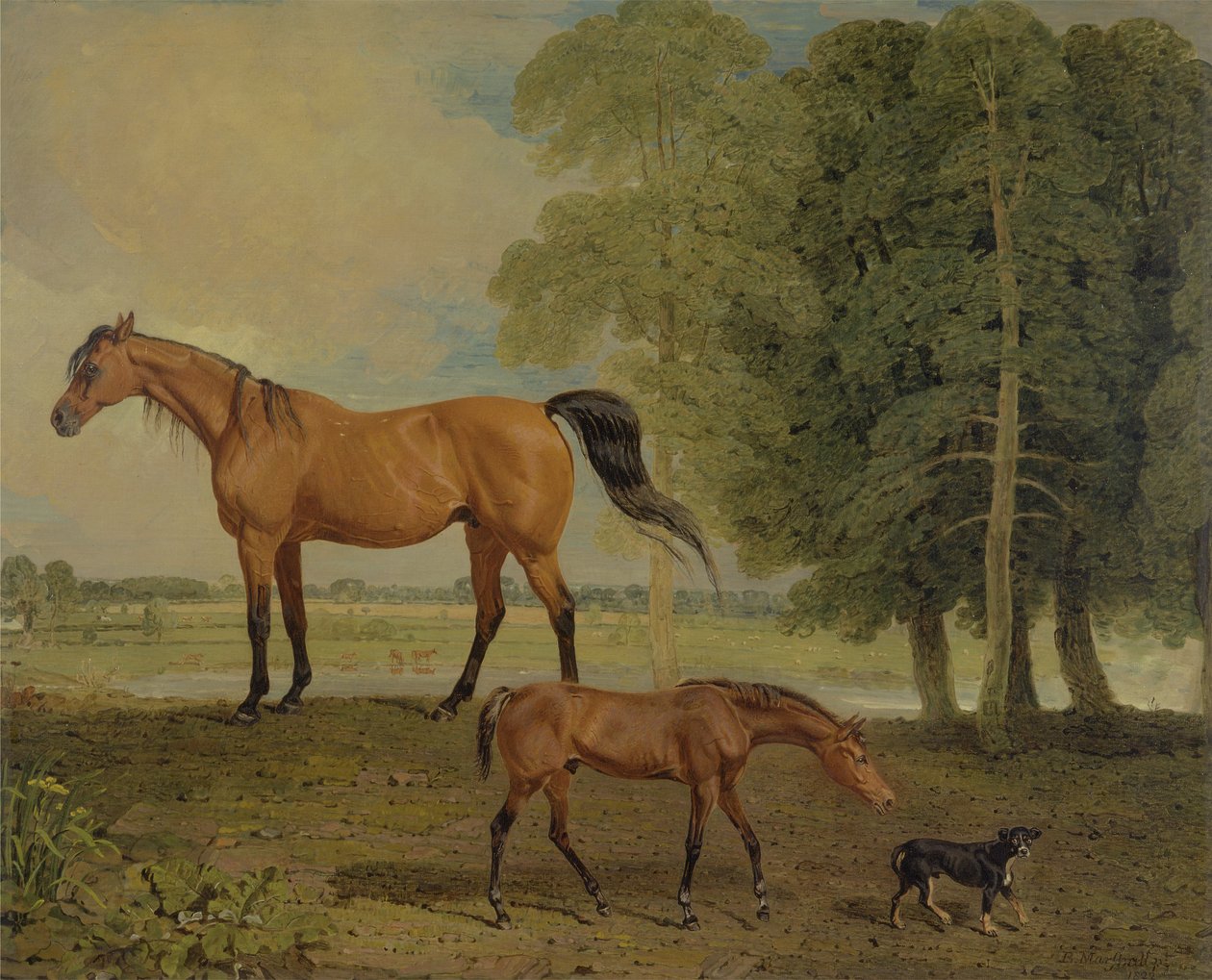 Hoppe med føll og terrier (olje på lerret) av Benjamin Marshall