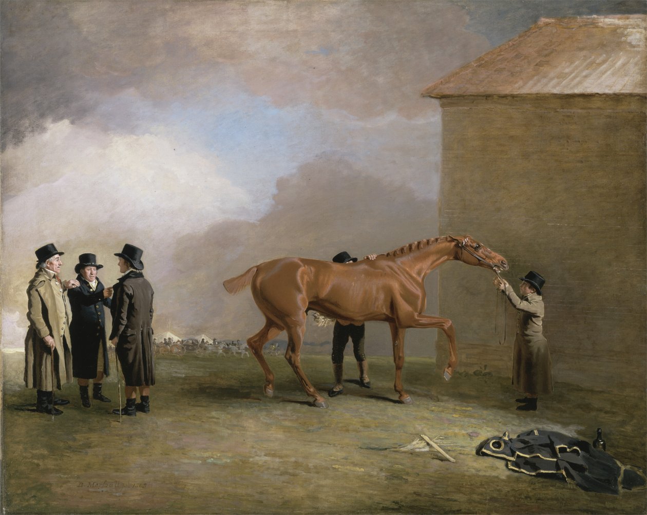 Muly Moloch, en kastanjeføll som blir gnidd ned på Newmarket Heath, med portretter av Trotter, Hardy og Thompson til venstre (olje på lerret) av Benjamin Marshall
