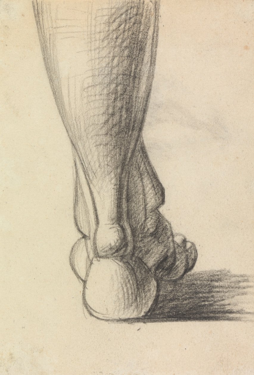 Anatomisk studie av hælen på en fot av Benjamin Robert Haydon