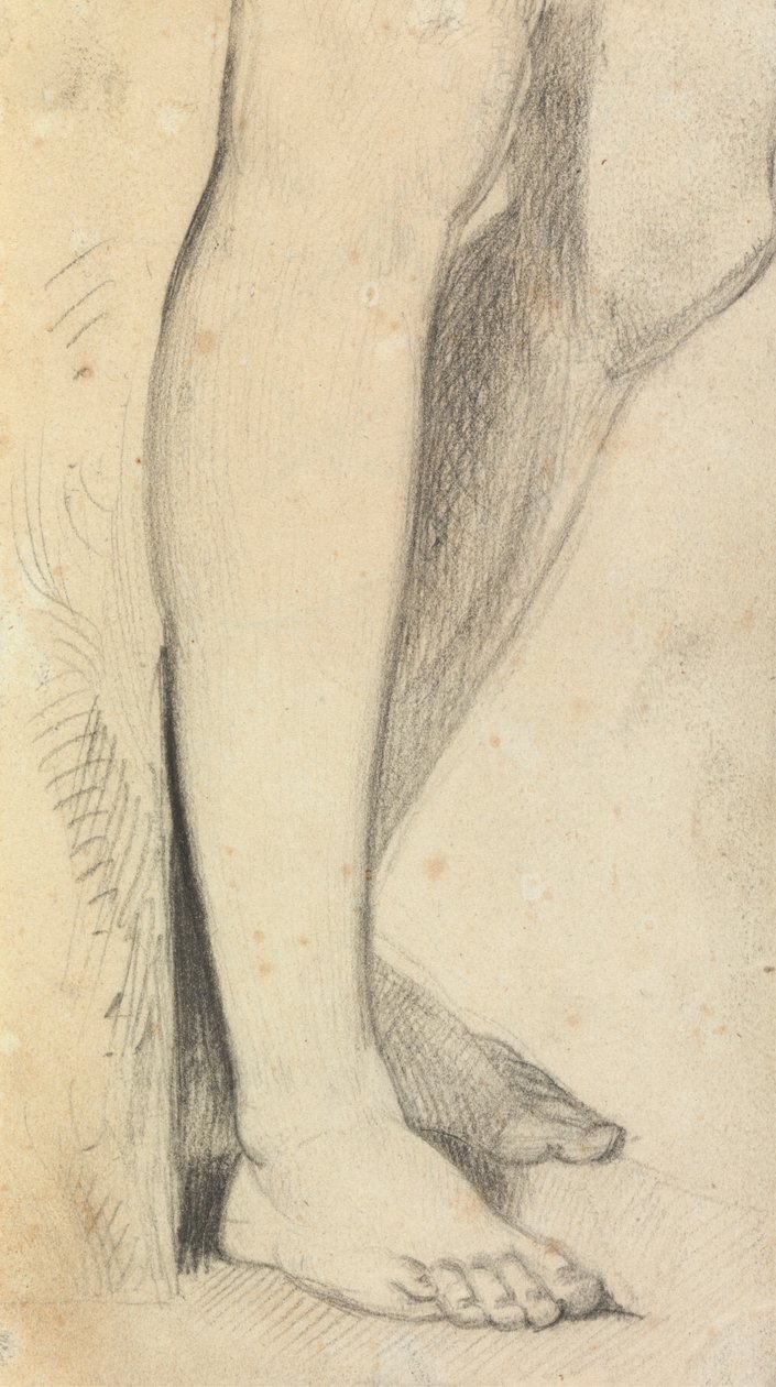 Figurstudie av ben av Benjamin Robert Haydon