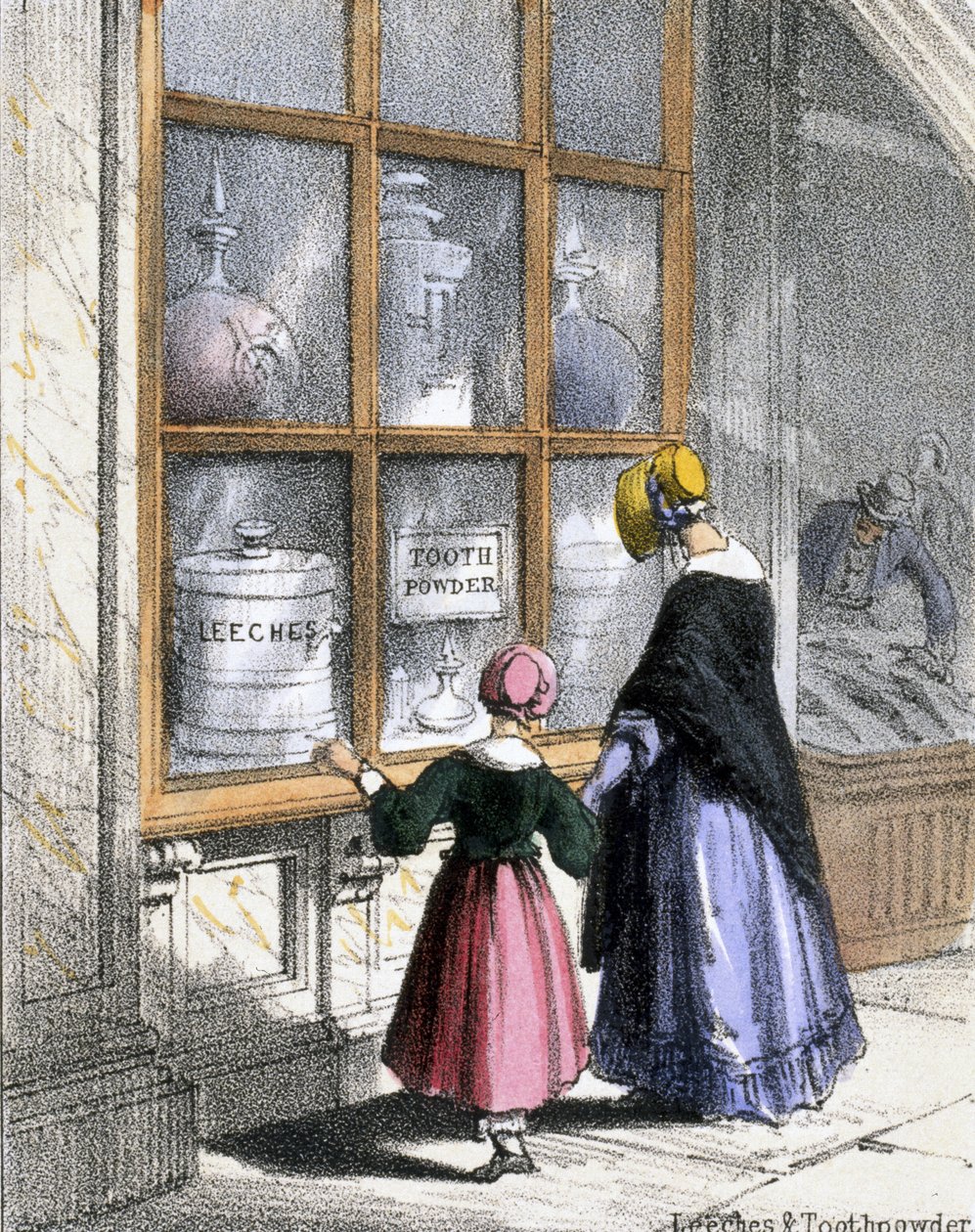 Igler og tannpulver, fra krepsdyr og reptiler i grafiske illustrasjoner av dyr - viser deres nytte for mennesker i deres ansettelse under livet og bruken etter døden, ca. 1845 av Benjamin Waterhouse Hawkins