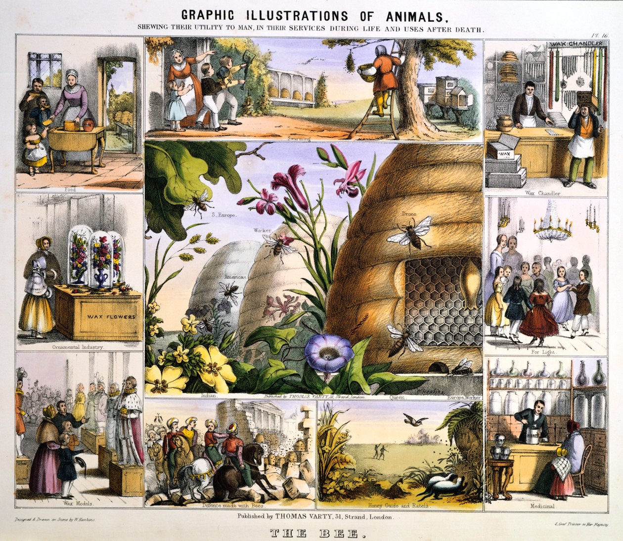 The Bee, c1850 av Benjamin Waterhouse Hawkins