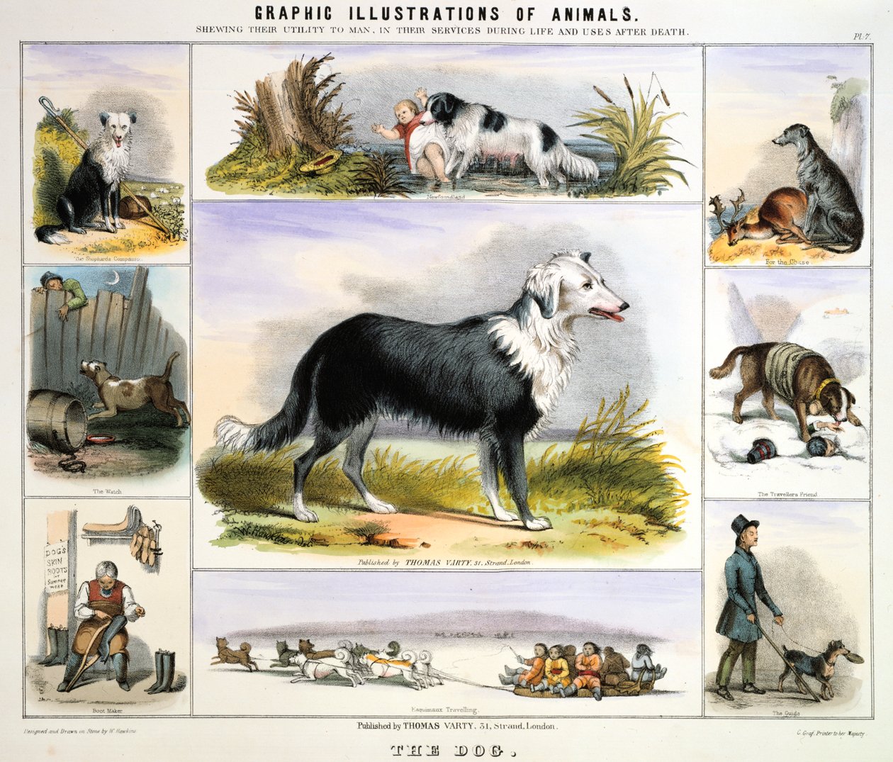Hunden, c1850 av Benjamin Waterhouse Hawkins