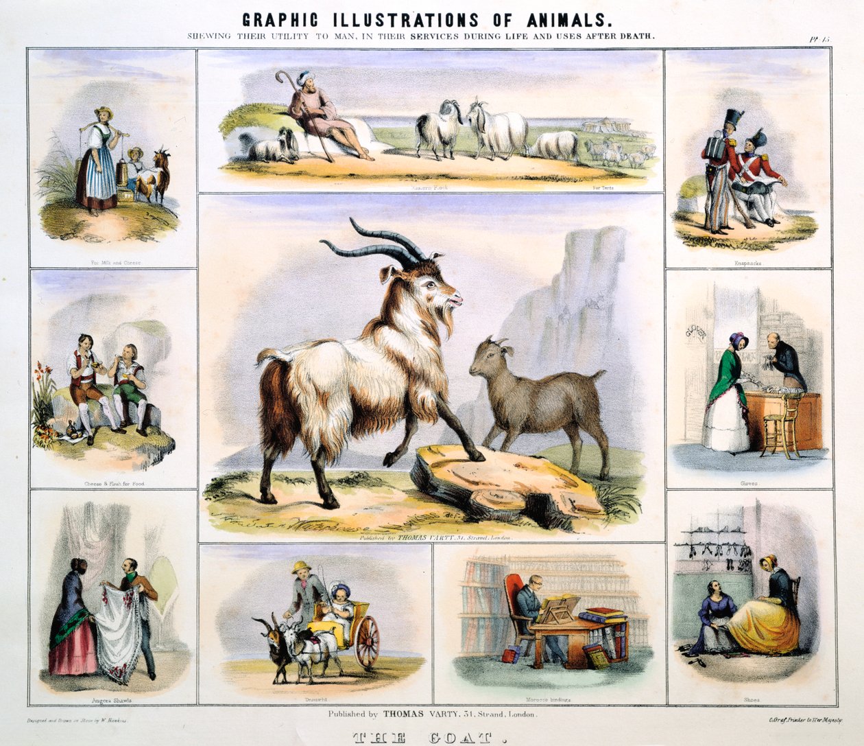 Bukken, c1850 av Benjamin Waterhouse Hawkins