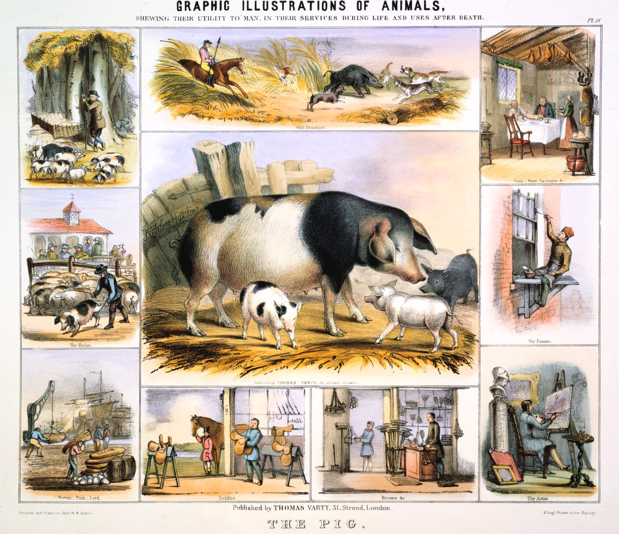 Grisen, c1850 av Benjamin Waterhouse Hawkins