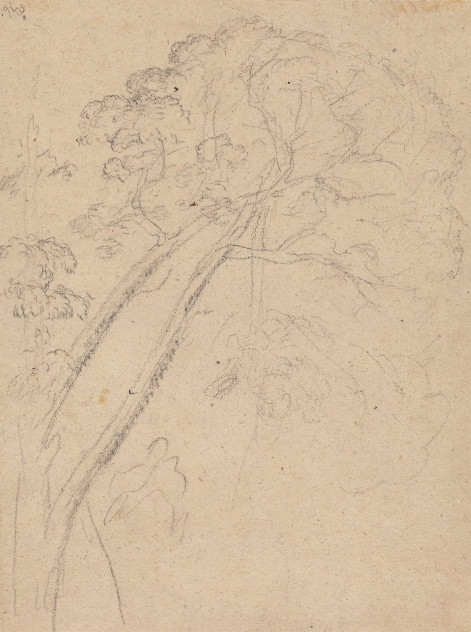Kostymestudie for portrett av en dame av Benjamin West