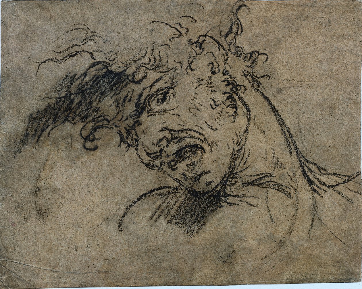 Leder av en skrikende mann (recto) av Benjamin West