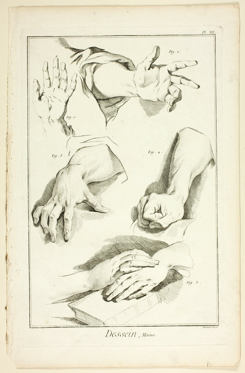 Design: Hands, fra Encyclopédie av Benoit Louis Prevost