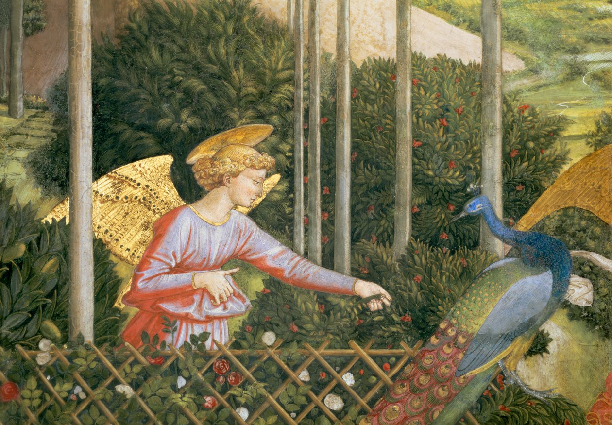 Engel mater en påfugl, detalj fra Journey of the Magi-syklusen i kapellet, ca. 1460 freskomaleri av 70610 av Benozzo di Lese di Sandro Gozzoli
