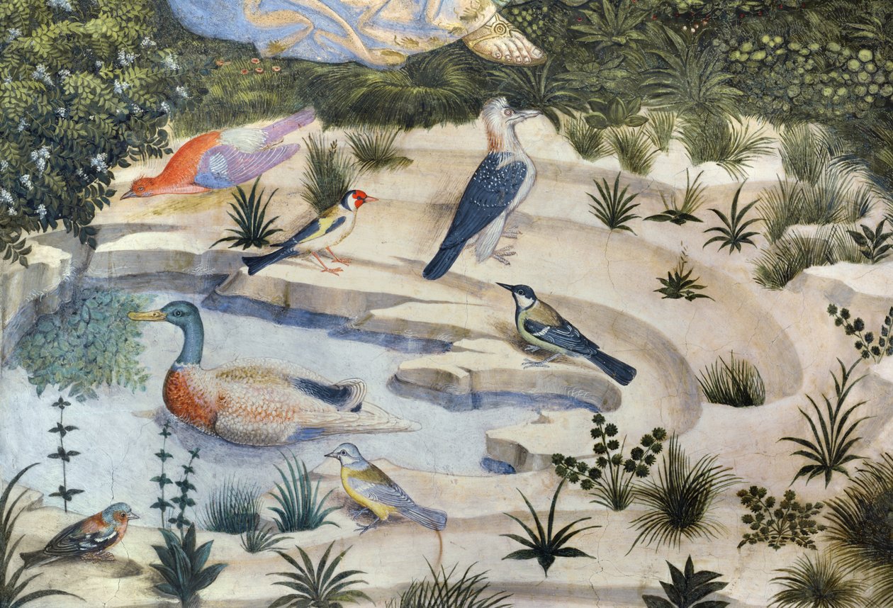 Fugler rundt en dam, detalj fra Journey of the Magi-syklusen i kapellet, ca. 1460 freskodetalj av 70610 av Benozzo di Lese di Sandro Gozzoli